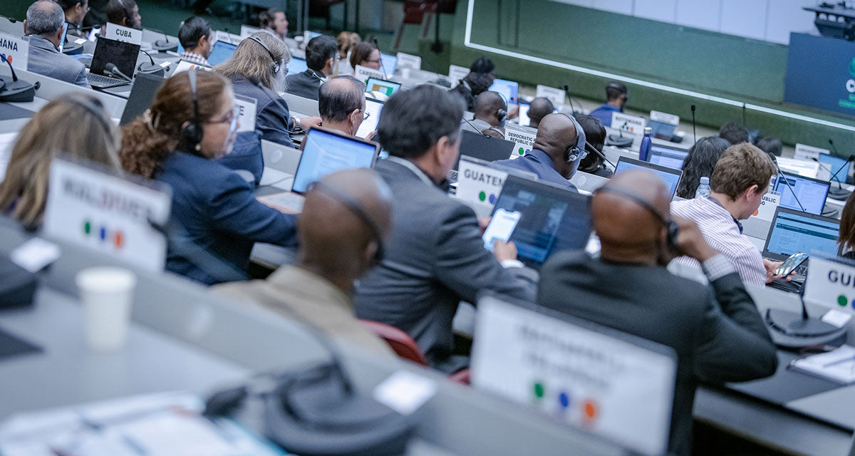 Policy and Regulatory Frameworks for Microplastic Management