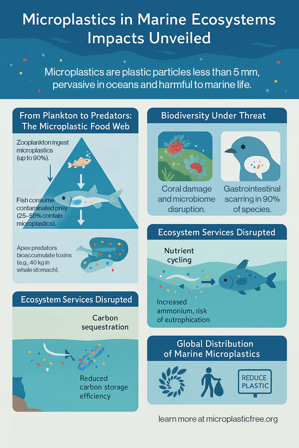 Illustration of Cyclical Impacts Of Pollution On Ocean Ecosystems