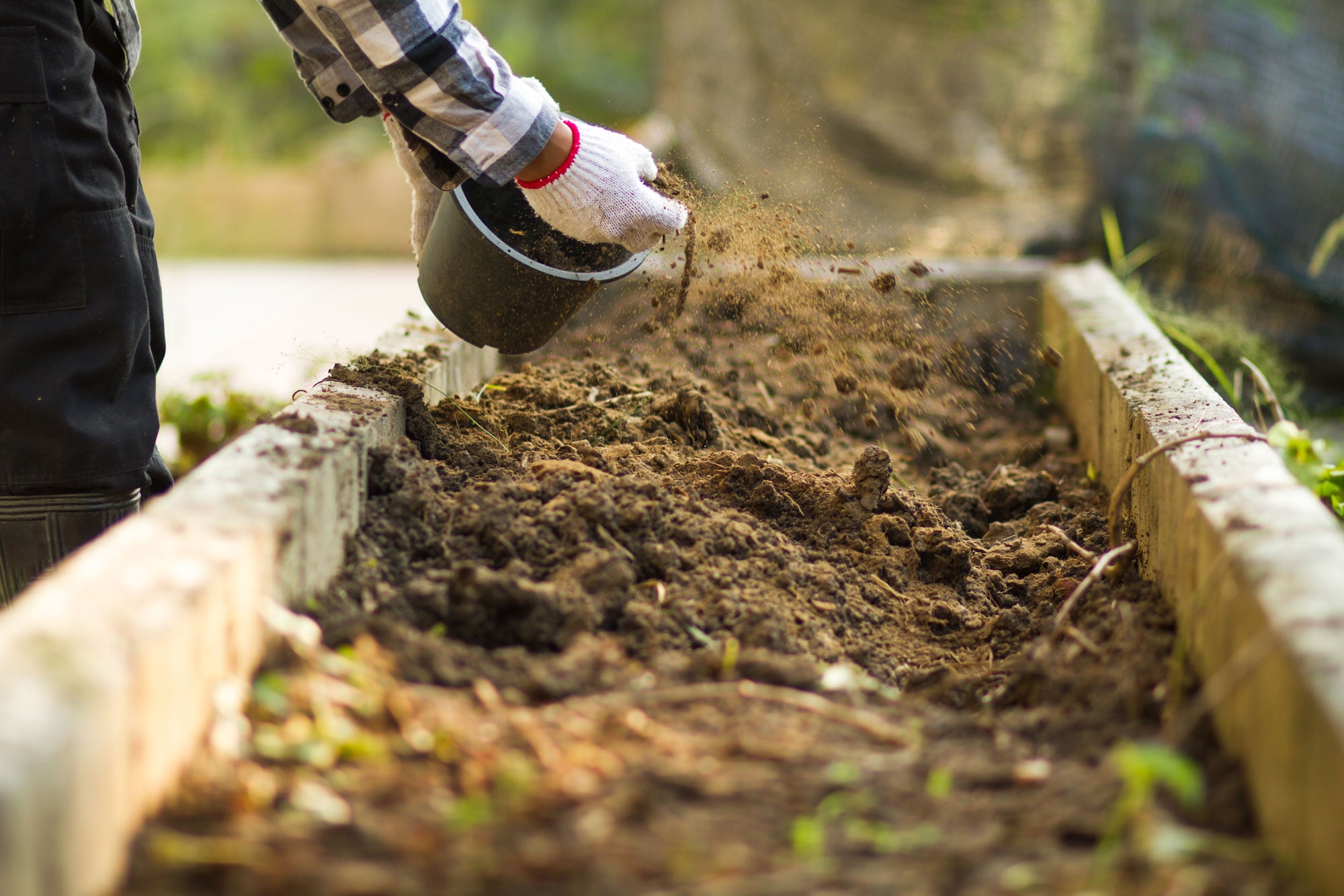 Bioassimilation vs. Industrial Composting: The Key to Microplastic-Fre