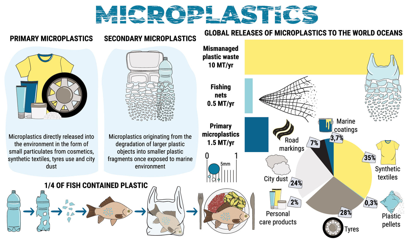 The Origins and Classification of Microplastics: A Comprehensive Overv